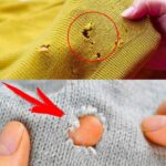 Whoa! Did not know this