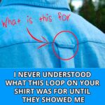 I Saw Something Strange in the Grass and Thought It Was Just a Rope — But I Was So Wrong