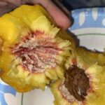 Is It Safe to Use Aluminum Foil in an Air Fryer? Here’s What You Need to Know