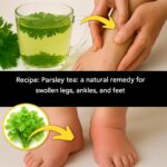 12 Garden Bugs You Should NEVER Get Rid Of