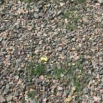 Classic Pig Pickin’ Cake Recipe: A Southern Sunshine Dessert Favorite