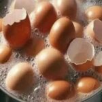 Eco-Friendly & Economical Mosquito Repellent: Reuse Clove Egg Boxes