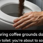 Natural Ways to Remove Tartar and Whiten Teeth at Home