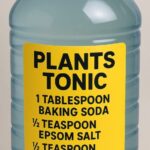 Crunchy Deep Fried Potato Peels