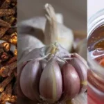 11 Easy-To-Divide Perennials That Will Multiply Your Blooms