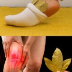 15 Flowers You Shouldn’t Deadhead