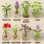 Baking Soda: The Gardener’s Secret Weapon – 10 Smart Ways to Use It in Your Garden