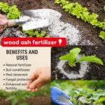 12 Benefits of Bull Thistle Root: Nature’s Hidden Healer