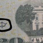 How To Grow a Giant Lemon Tree No Matter Where You Live