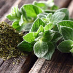 Dye with Nut Shells to Darken Hair Without Using Chemicals