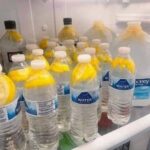 A Natural Miracle for Brain Health, Inflammation, and Joint Pain