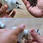 Mediterranean Spinach and Feta Crisps