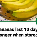 💎 Pick Your Ring and Discover What It Says About You 💎