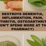 An early sign of Alzheimer’s disease can be noticed while taking a shower: what should you look out for?