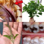 💎 Pick Your Ring and Discover What It Says About You 💎