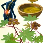 From Kitchen to Beauty Cabinet — Coconut Oil Does It All!