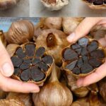 How to Plant a Lemon in a Cup: A Natural Way to Purify Air and Lift Your Mood