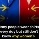 One Dragonfly Can Eat 100s of Mosquitoes per Day: Keep These Plants in Your Yard to Attract Dragonflies!