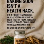 Dental-Organ Connection: The Truth Behind Reading Diseases Through Teeth