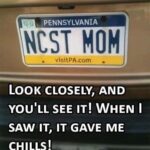 🌿 The Hidden Power of Mullein Roots: Benefits and Uses