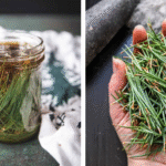 How to Plant a Lemon in a Cup: A Natural Way to Purify Air and Lift Your Mood