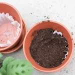 An early sign of Alzheimer’s disease can be noticed while taking a shower: what should you look out for?