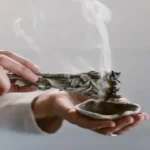 15 Surprising Uses for Pine Cones Every Gardener Should Know