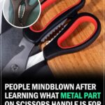 How to Prepare Orange Biscuits Without Eggs or Butter: A Light, Flavorful Treat Everyone Will Love