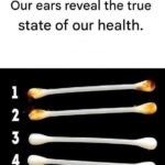 🌹 How to Make Your Own Rose Water at Home: A Fun, Fragrant DIY Guide