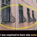 Why Do the Japanese Place Water Bottles Around Their Homes Instead of Storing Them in the Refrigerator?