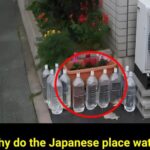 Why Some Window Bars Curve at the Bottom: The Real Reason Most People Don’t Know