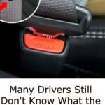 How to Prepare Orange Biscuits Without Eggs or Butter: A Light, Flavorful Treat Everyone Will Love