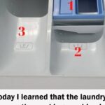 Why Gardeners Are Putting Two Nails in Their Pots – The Results Are Amazing