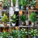 Clove benefits for Skin – Clove Oil, Clove Gel & Clove ice cubes 