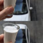 Amish Applesauce Cake 