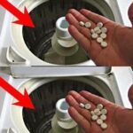 Today I Learned That the Laundry Box on the Washing Machine Is Used Like This — No Wonder the Clothes Are Not Clean Enough!