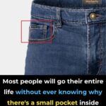 What You Need to Know About Food Expiration Dates