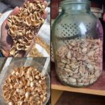 🏠 How a California Man Outsmarted Squatters and Reclaimed His Family Home