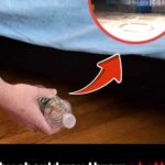 BEST EASY SHEET PAN SCORED POTATOES RECIPE