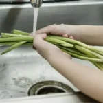 Don’t Throw Away Your Damaged Avocados — Turn Them Into Homemade Oil Without Spending a Fortune