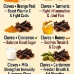 How to Grow Oranges in Pots: A Complete Guide to Home Citrus Growing