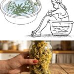 🐭🚫 The Ultimate “No Rodents Allowed” Guide