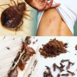 ⭐ Why You Should Turn Off Your Phone’s Wi-Fi When You Leave Home