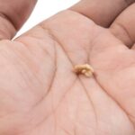 Struggling to Fall Asleep? Here Are Fun, Natural, Science-Backed Ways to Relax Before Bed!