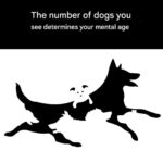 Wrong Winter Foods Can Kill Birds: What NOT to Feed Them in Cold Weather