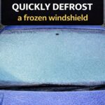 Wrong Winter Foods Can Kill Birds: What NOT to Feed Them in Cold Weather